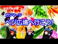 【カシマーシ】ベジ広場へ行こう ♪「野菜の歌体操」