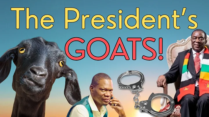 Inside Zimbabwe’s Biggest Scam: The US$20K Goat Fraud