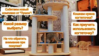 Сборка кошачьего комплекса! Как приучить использовать кота когтеточку? Какой размер/высоту выбрать? by DEBORKADER 1,684 views 2 years ago 4 minutes, 15 seconds