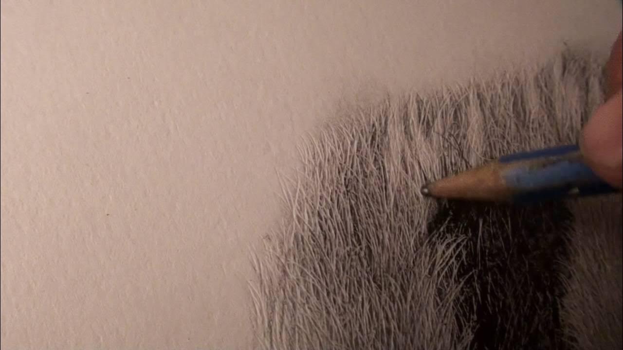 Tutorial 13 Drawing Leopard Spots YouTube