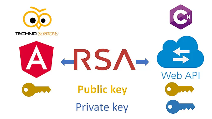 Encryption in Angular and Decryption in c# .NET Core web api using RSA. Secure Programming practice