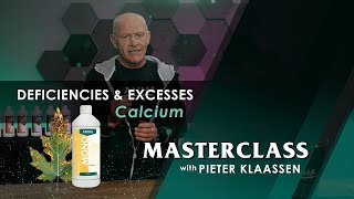 Masterclass – Deficiencies and Excesses Calcium