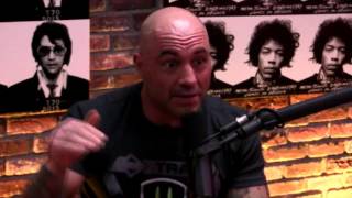 Joe Rogan On The Nature of Conflict