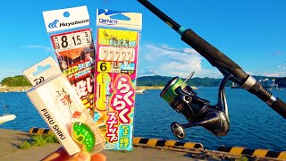 DAIWAふく式×ちょい投げ釣りで怒涛のヒット！漁港の釣りが激アツすぎる…