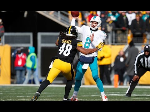 Steelers DESTROY the Dolphins || 2016 AFC Wildcard Highlights