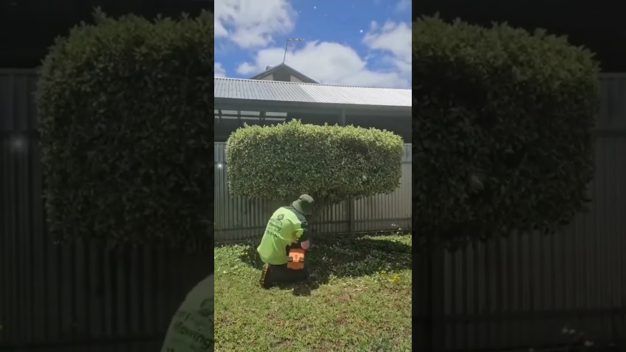 Keep your yard looking neat and tidy with Jim’s Mowing expert trimming services