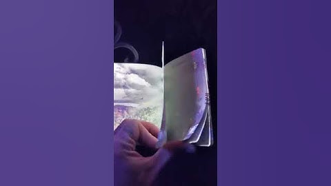 🛂💡 УФ-захист латвійського паспорта