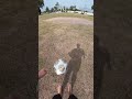 Não sei como, mas consegui fazer um monte de #embaixadinha gravando com celular ainda kkk #sharkalta