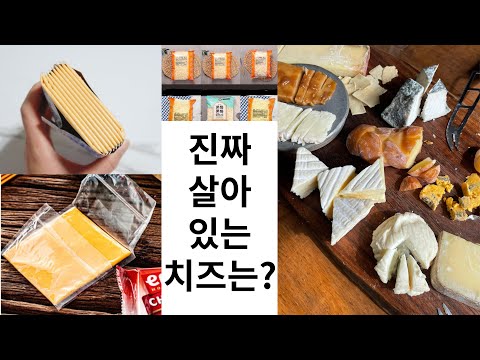 가공치즈와 자연치즈의 차이점