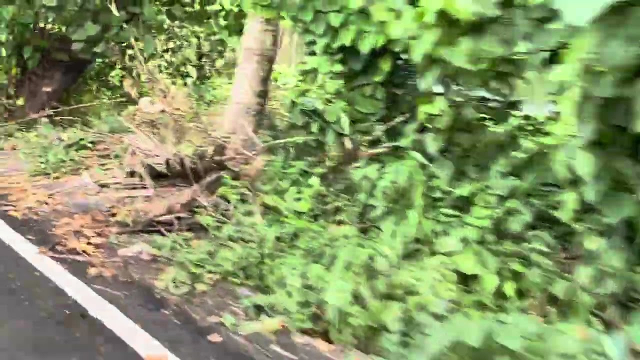 RV 400 Revolt Monsoon Weather Beauty, Amalsad, Navsari District, Gujarat State, INDIA 