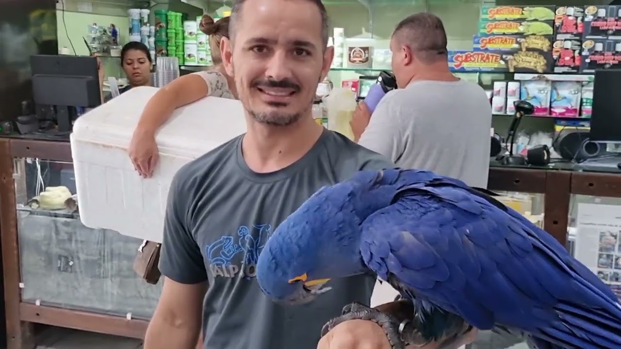 GALPÃO ANIMAL EM SÃO PAULO,LOJA ESPECIALIZADA EM ANIMAIS SILVESTRE E EXÓTICOS, Baumann número, 1363
