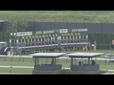 2024 MILE CHAMPIONSHIP (G1) | JRA Official