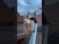 Parkour Jumps Over DEATH Gap Gone Wrong Parkour Freerunning Wien Extreme