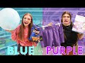 Ultimate BLUE vs PURPLE One Color Shopping Challenge!