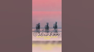 الله خالق كل شي ~ التلاوة الشهيرة ل عمر الدريويز