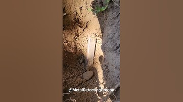 Something Shiny in the Ground - Metal Detecting Oregon and Beyond! RV Life