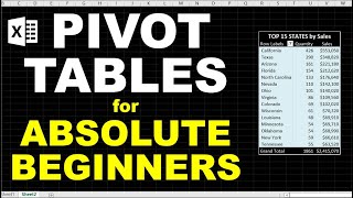 Introduction to Pivot Tables - Beginner Tutorial