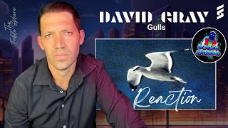 David Gray - Gulls (Reaction) (AS Series)