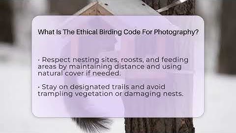What Is The Ethical Birding Code For Photography? - Bird Watching Diaries