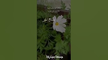 #سورة الكهف #جمعة مباركة