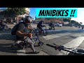 Je tombe sur une horde de minibikes   surron light bee x