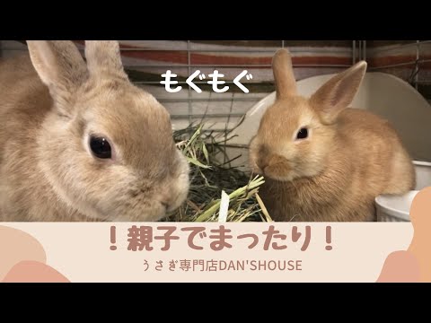 親子】赤ちゃんとママの暮らしをチラ見せ！ - YouTube