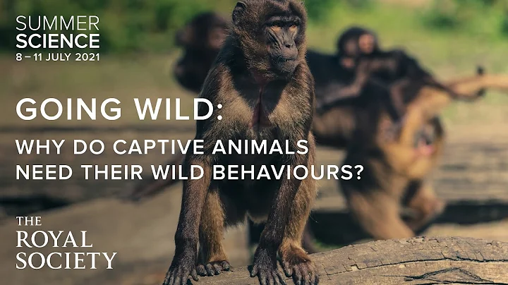 Why animals behave differently in zoos and in the ...