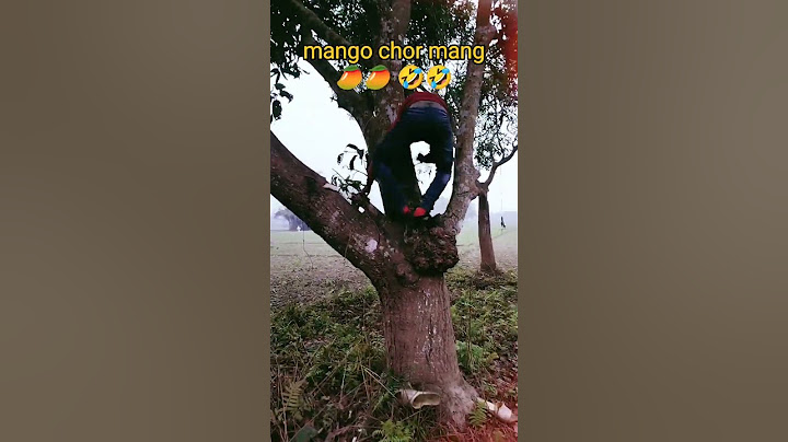 Tona Totka Kiya Hua Hai Jungle Mai 😳#jungle #haunted #horror #sanjhalikavlog #minivlog #blackmagic