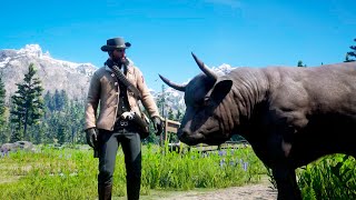 ESTAS EN EL LUGAR Y MOMENTO EQUIVOCADO | RED DEAD REDEMPTION 2