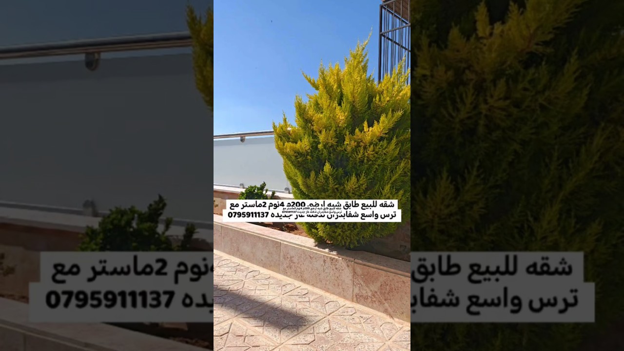 تم تنزيل السعر شقه للبيع طابق شبه ارضي 4نوم شفا بدران جديده لم تسكن معفيه