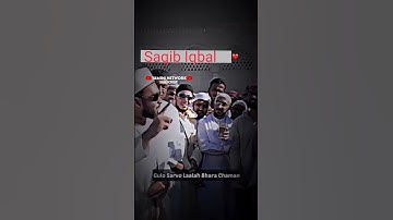 Peer Saqib Iqbal Shami | Maulana Saqib Iqbal Status | M Yamini Network #short #SaqibIqbal