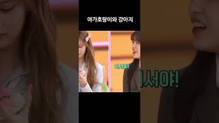 젠지가 된 아가호랑이와 강아지 #kpop #젠지 #아이브 #IVE