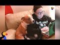 Dog Whose Photo Went Viral Has Sweetest Adoption Story - RUSS UPDATE | The Dodo