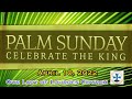 Palm Sunday - April 10, 2022 - Msgr. Jim Lisante, Pastor, Our Lady of Lourdes Church.