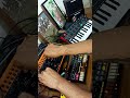 🎛️ Exploring analog warmth and experimental vibes with Behringer Crave 🎹