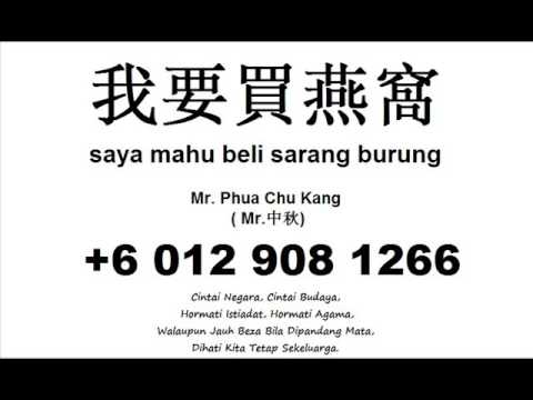 suara-burung-walet---external-sound