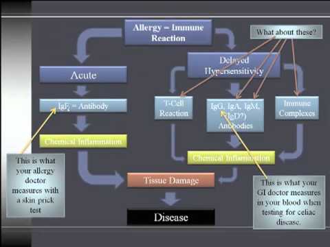 What is the Difference? Celiac Disease Vs. Gluten Intolerance Vs. Gluten Sensitivity.mp4