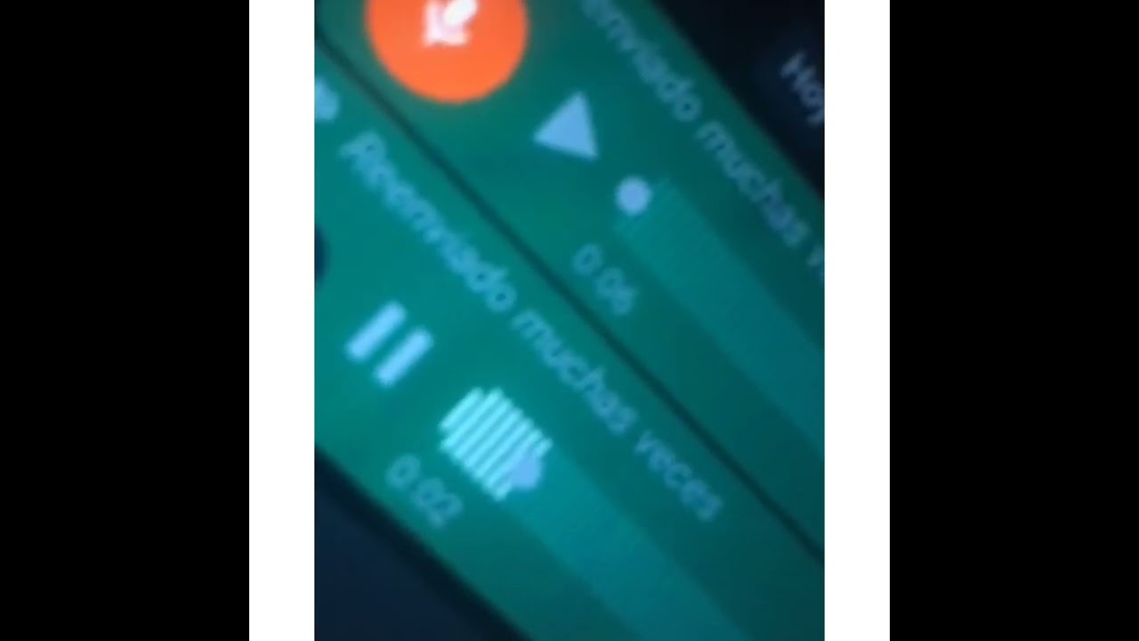 FILTRAN AUDIO DEL NOBA. muere el noba 