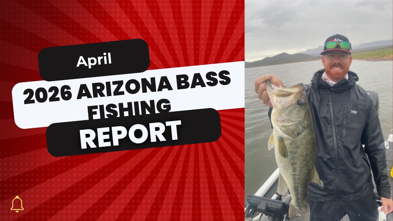 2026 April Arizona Bass Fishing Report