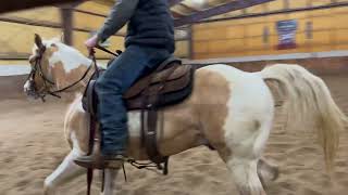 Diamonds Lil LongLegs  2021 APHA Gelding  Video 5224