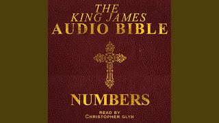 Chapter 39 - Numbers