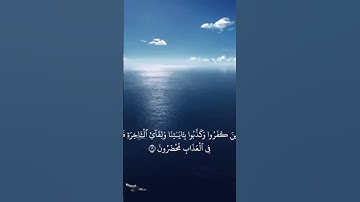 سورة الروم ياسر الدوسري 🤍🎧#قران_كريم #تلاوة_خاشعة #ياسر_الدوسري #سورة_الروم