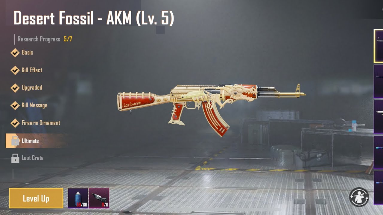 Akm skins pubg фото 31