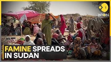 Sudan Famine: Famine Reaches El-Fasher & Kadugli, 20 More Areas at Risk | WION