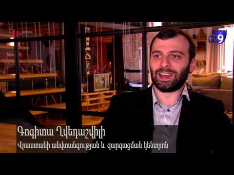 4 მითი ვიზალიბერალიზაციის შესახებ  - ახალციხის 9 არხი