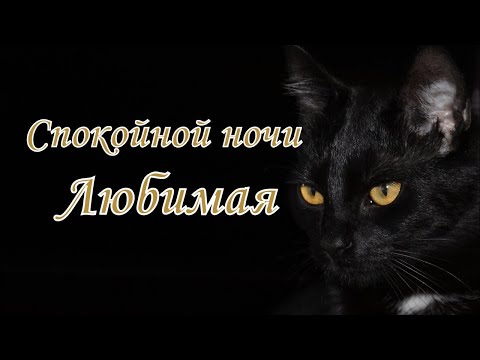 Спокойной ночи Любимая