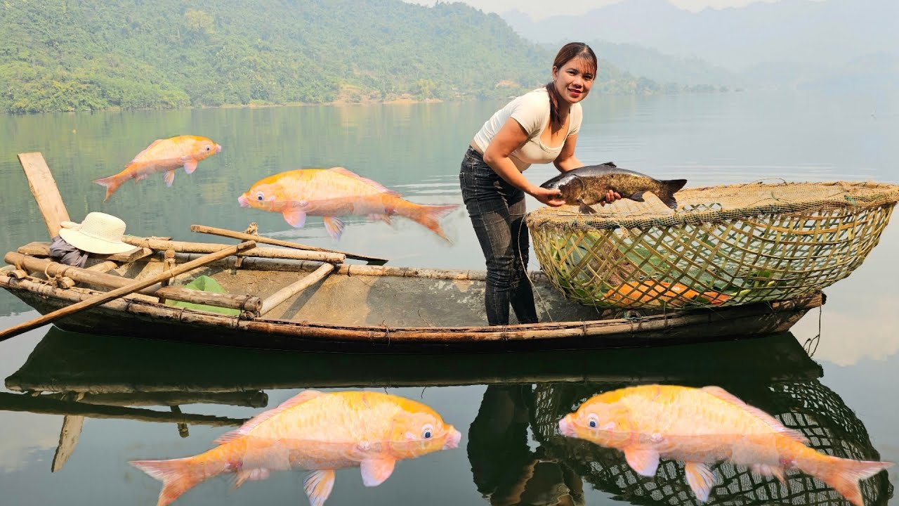 Fish trap Catching a lot of fish at night, the girl's livelihood on the ...