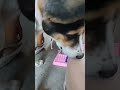 #funny