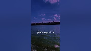آية الكرسي❤️😴راحه نفسيه 🕊️أجمل حالات واتس اب قرآن كريم بصوت جميل جدا تلاوه خاشعه 𝙌𝙪𝙧𝙖𝙣 𝙎𝙩𝙖𝙩𝙪𝙨❤️✨