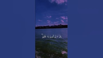 آية الكرسي❤️😴راحه نفسيه 🕊️أجمل حالات واتس اب قرآن كريم بصوت جميل جدا تلاوه خاشعه 𝙌𝙪𝙧𝙖𝙣 𝙎𝙩𝙖𝙩𝙪𝙨❤️✨